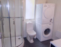 indoor, wall, sink, toilet, plumbing fixture, shower, bathroom, bathroom accessory, home appliance, washing machine, tap